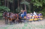 2014 Letni obóz jeździecki - Turnus III